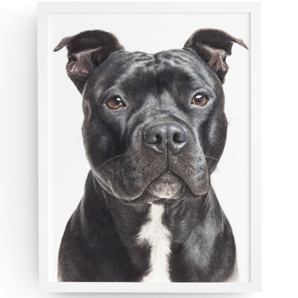 American Black Pit Bull Terrier Watercolor Wall Art Print Poster - Unframed
